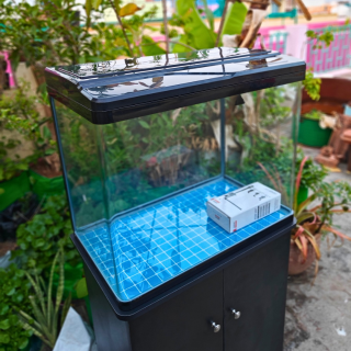 Vijay Aquarium Welcome to Vijay Aquarium your one stop shop for all your aquarium needs Our eCommerce site offers a wide range of products and services for both freshwater and saltwater aquariums cate...